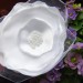 bílá růže na pinetce